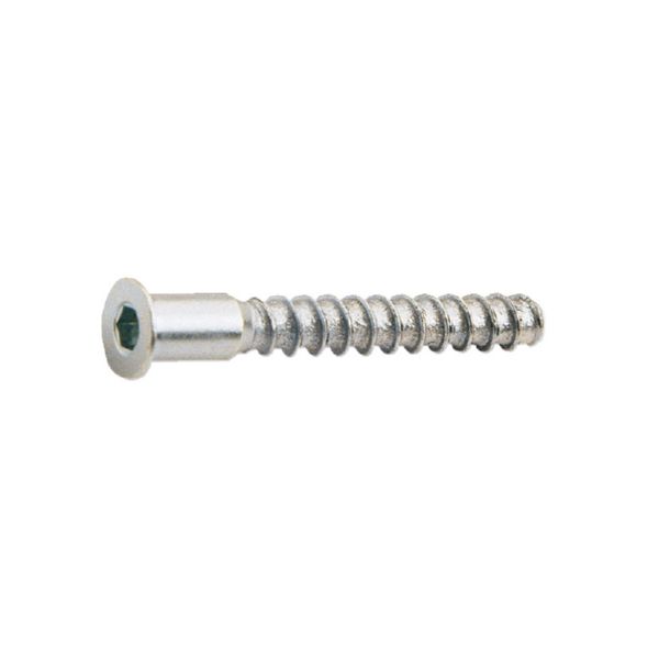 Tornillos ensamblar.