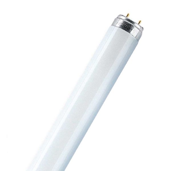 Tubo fluorescente trifósforo.