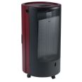 ESTUFA GAS. LLAMA LIBRE. M. CHIC 4,2 Kw.